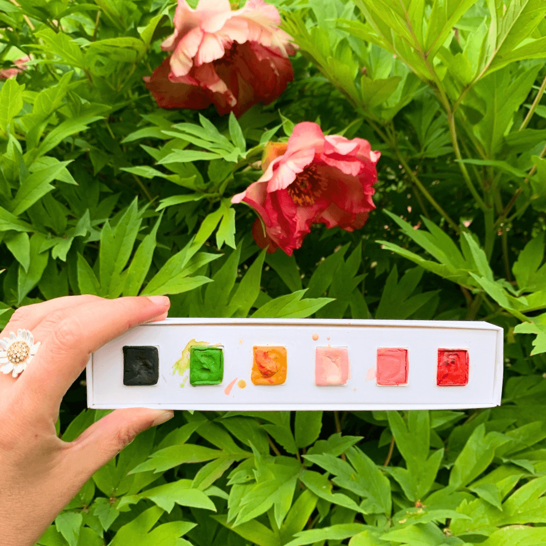 NOUVEAU - Boîte 6 aquarelles artisanales - Pivoines, etc