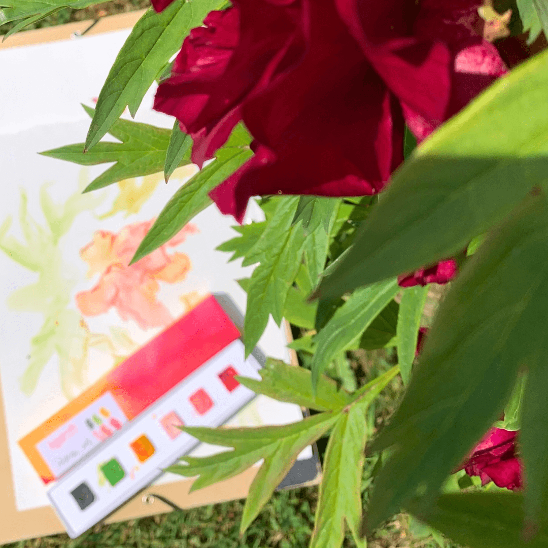NOUVEAU - Boîte 6 aquarelles artisanales - Pivoines, etc