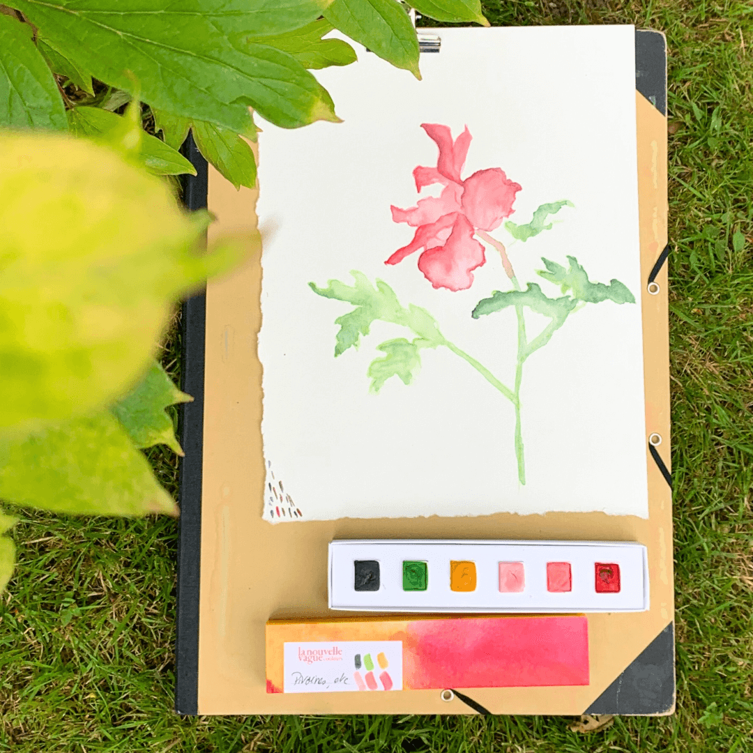 NOUVEAU - Boîte 6 aquarelles artisanales - Pivoines, etc