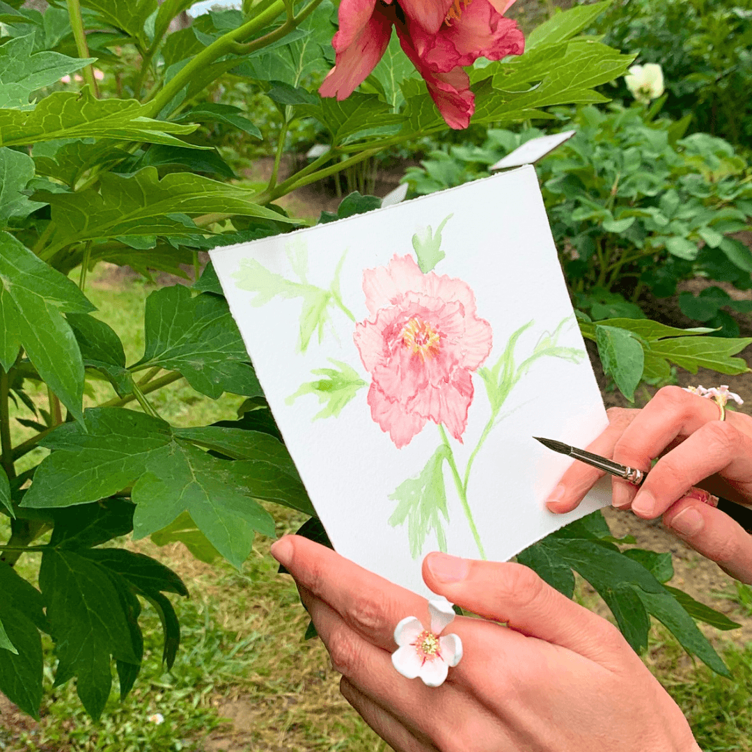 NOUVEAU - Boîte 6 aquarelles artisanales - Pivoines, etc