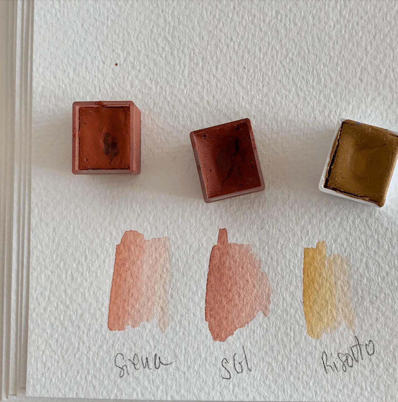 Collection Endless Summer