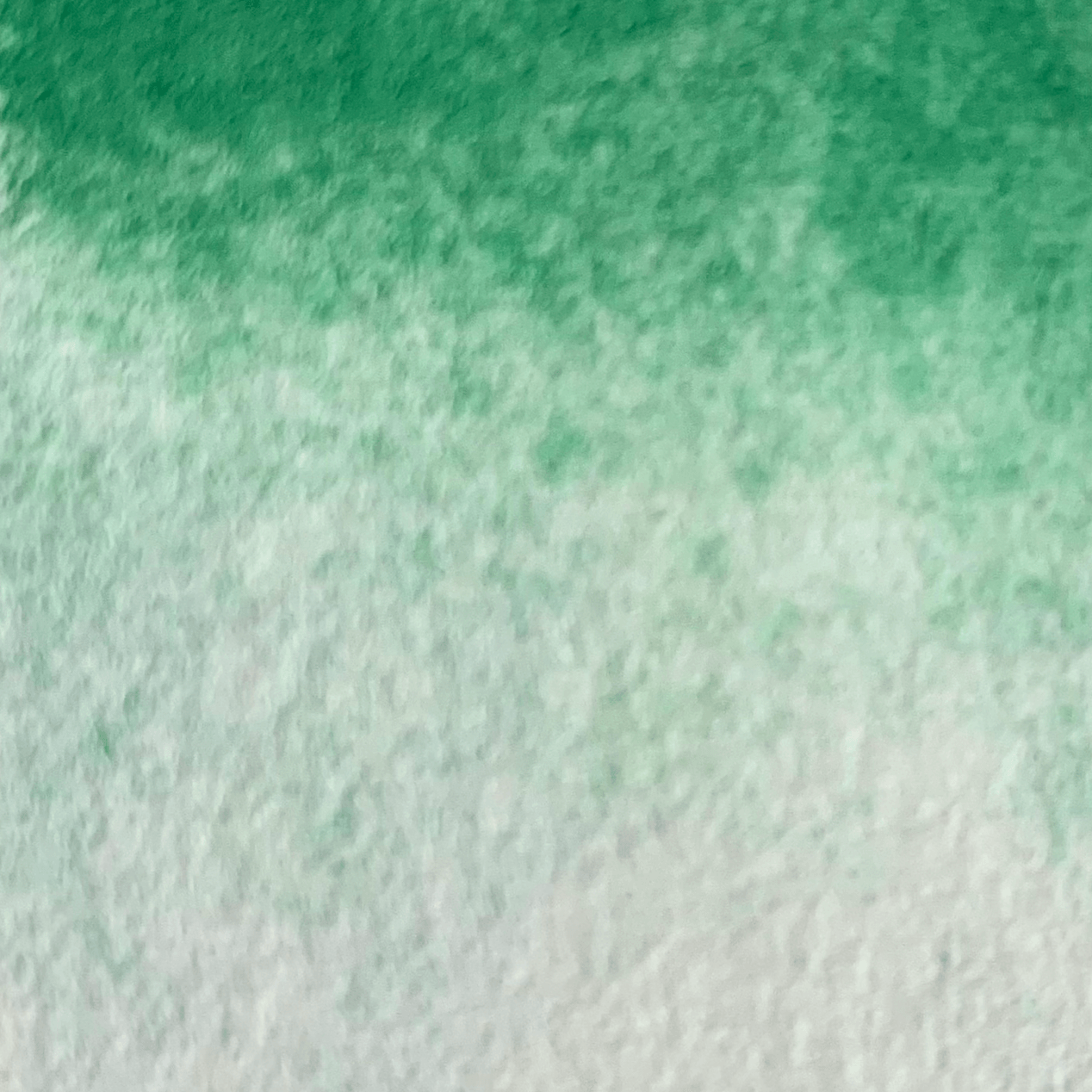 Aquarelle artisanale - Vert Cactus