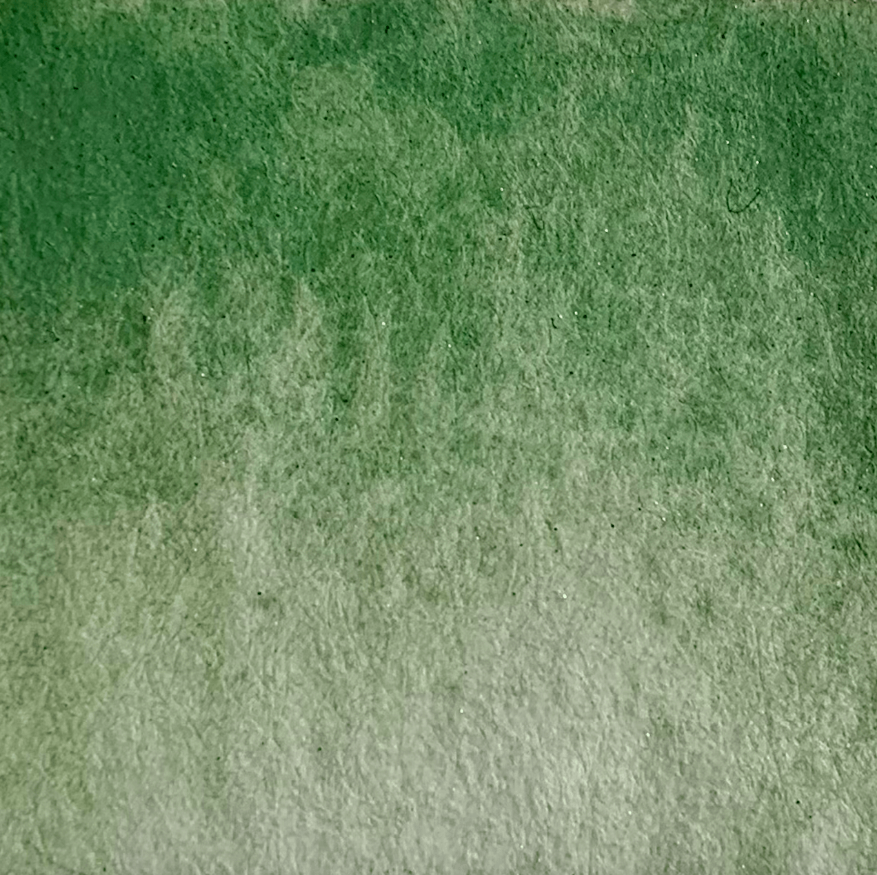 Aquarelle artisanale - Vert Matcha