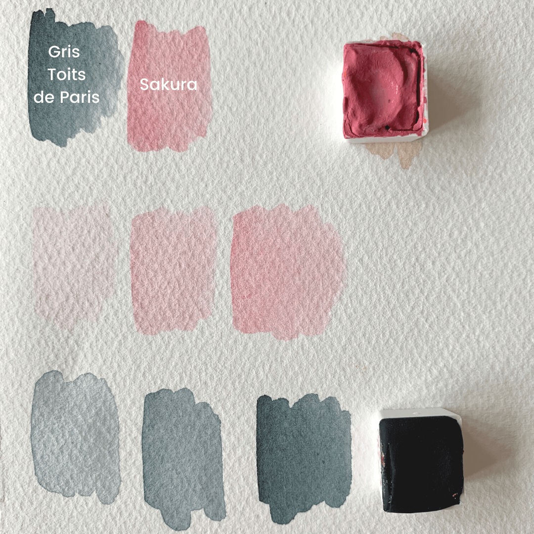Aquarelle artisanale - Rose Sakura