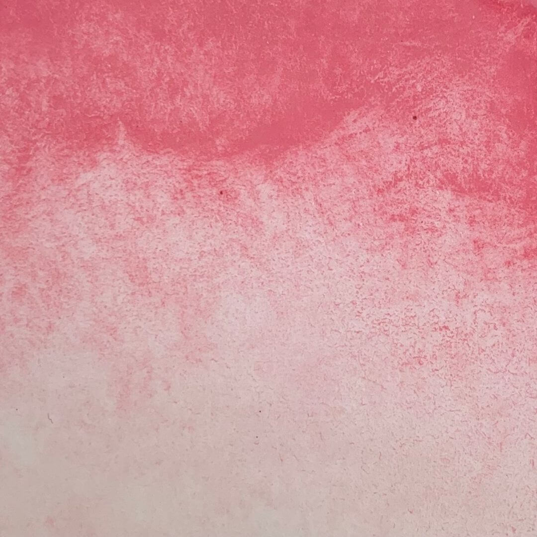 Aquarelle artisanale - Rose Sakura