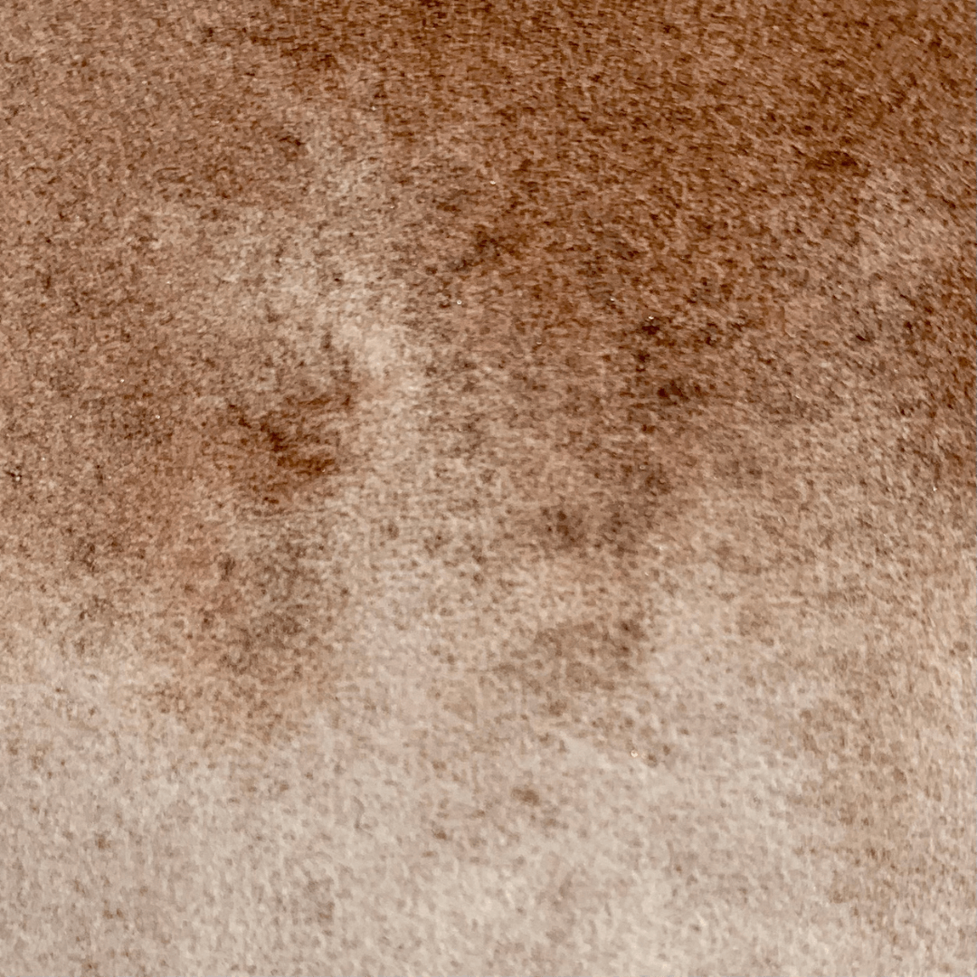 Aquarelle artisanale - Brun Choco BN