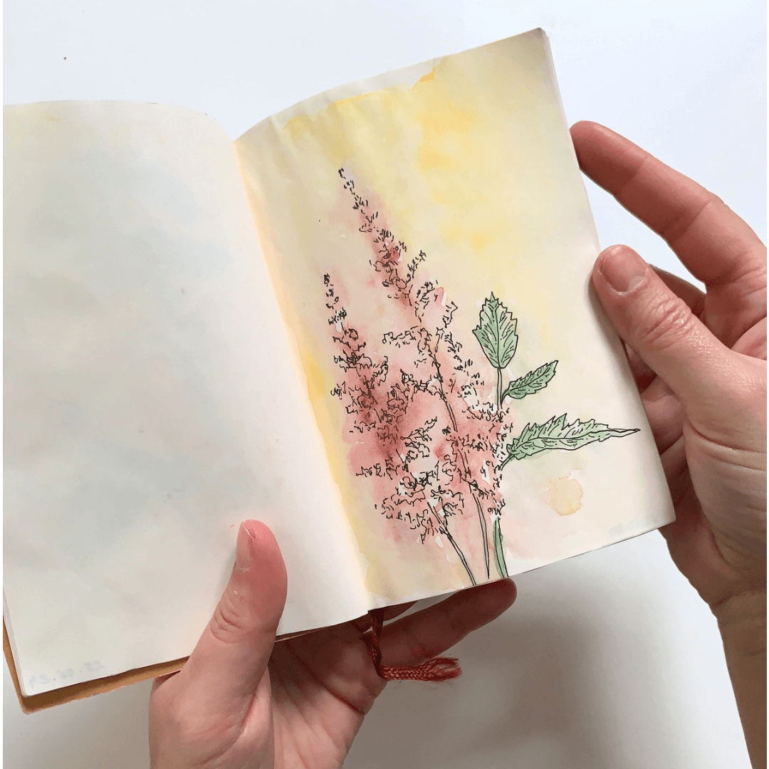 ATELIER - L’aquarelle par les fleurs - Dimanche 31 mai 10H
