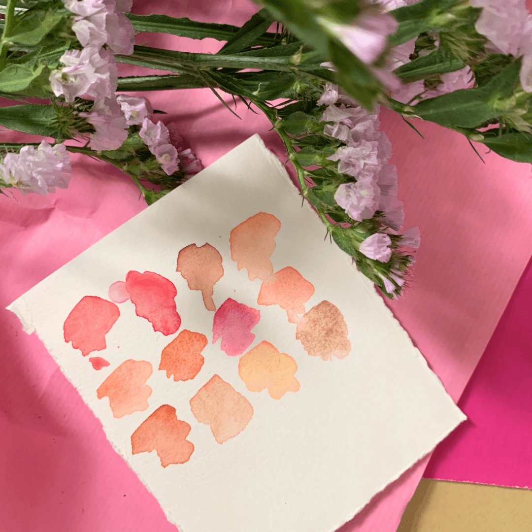La palette d’aquarelle qui fait éclore les fleurs