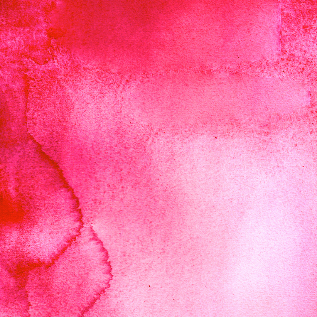 Aquarelle artisanale - Rose de Plougastel